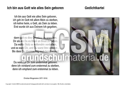 Ich-bin-aus-Gott-wie-alles-Sein-geboren-Morgenstern.pdf